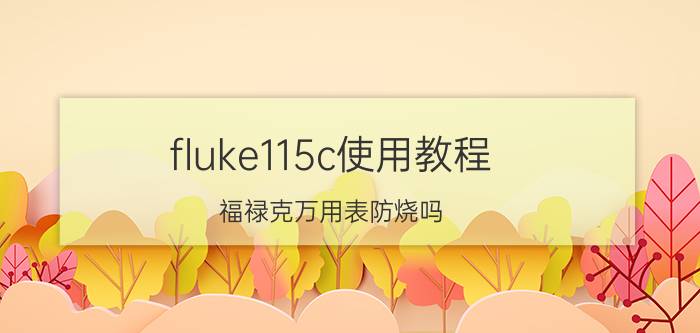 fluke115c使用教程 福禄克万用表防烧吗？